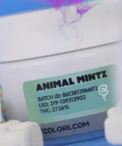 Colors Extracts Flower Animal Mintz